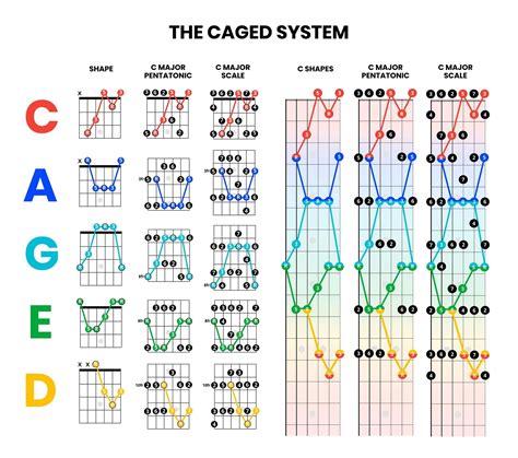 Caged guitar system. Things To Know About Caged guitar system. 